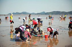 90后小姐姐赶海全集,探寻海滨生活的诗意与浪漫