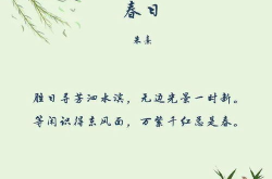描写春天的优美句子100字,百字描绘春天的诗篇