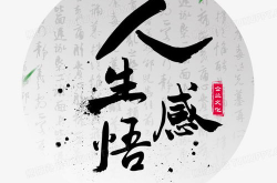 人生感悟八个字,感悟人生八个字的深刻内涵