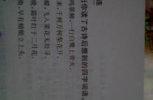 果断有力打一字谜,探寻汉字背后的智慧与趣味”