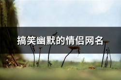 有创意又搞笑的网昵称,创意无限，搞笑满屏，快来给你的昵称加点料！